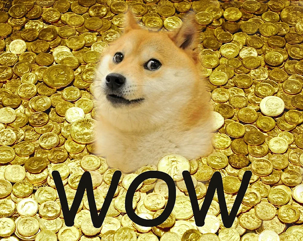 Wow Doge Мем