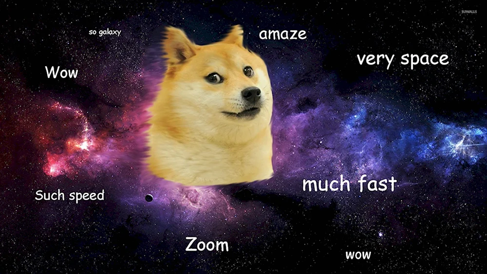 Wow Doge Мем