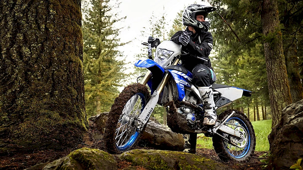 Yamaha wr450f