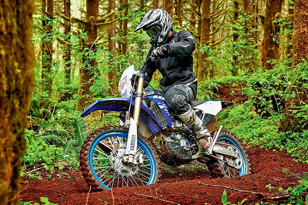 Yamaha wr450f