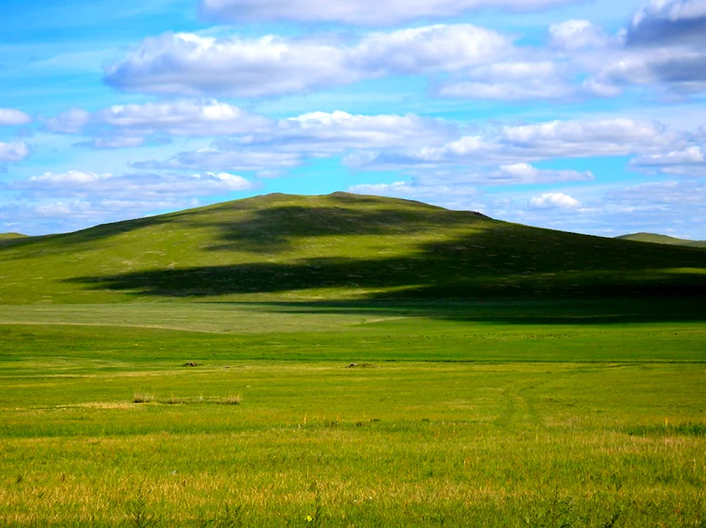 Забайкалье даурские степи