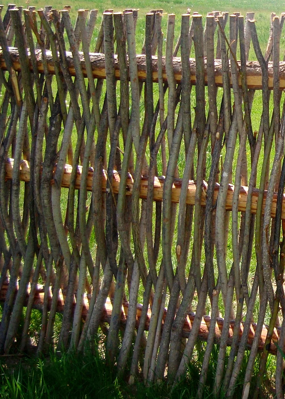 Забор плетень лоза