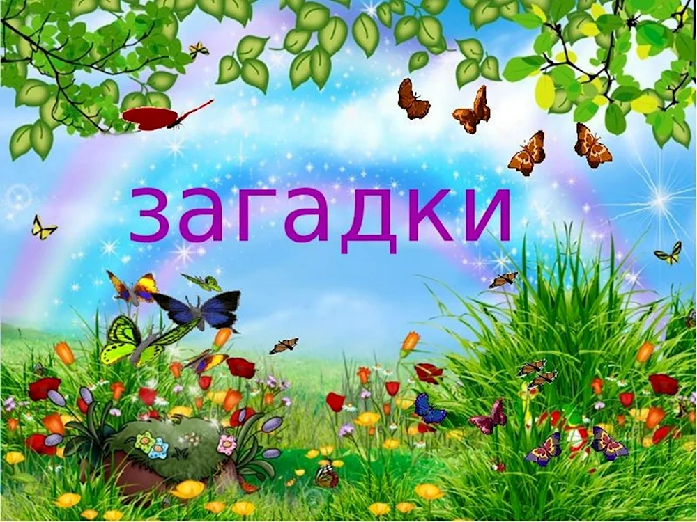 Загадки