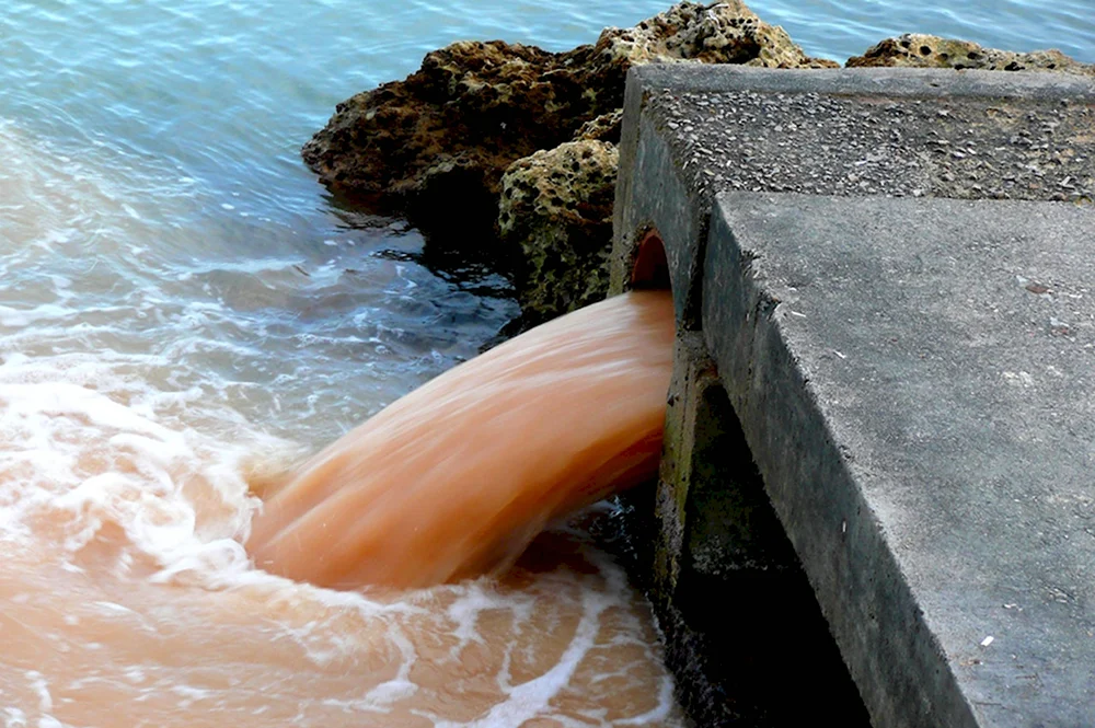 Загрязнение мирового океана сточными водами