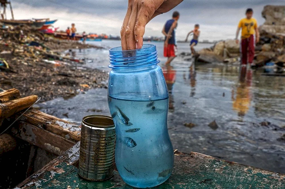 Загрязнение окружающей воды