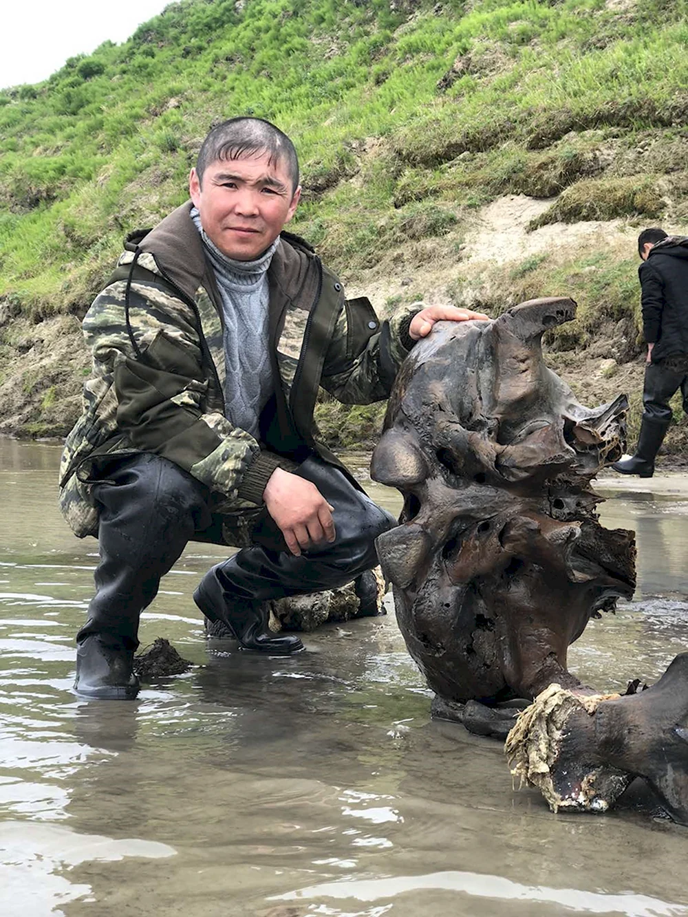 Заскамили Мамонтов