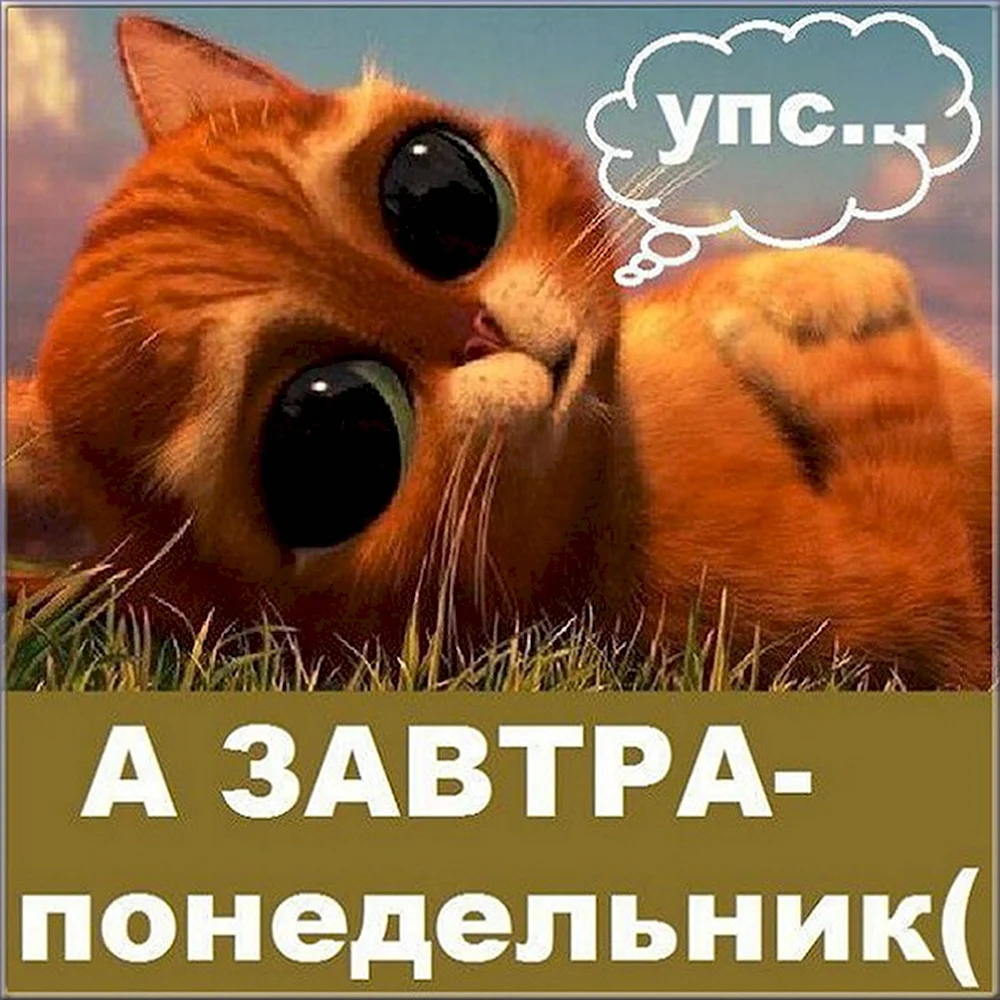 Завтра понедельник