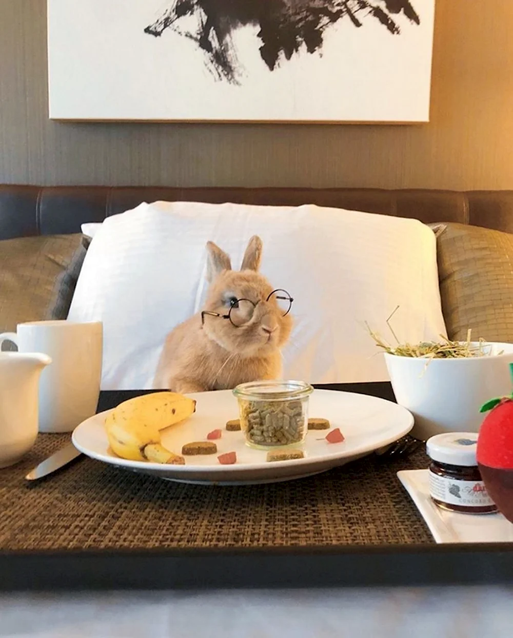 Завтрак с животными