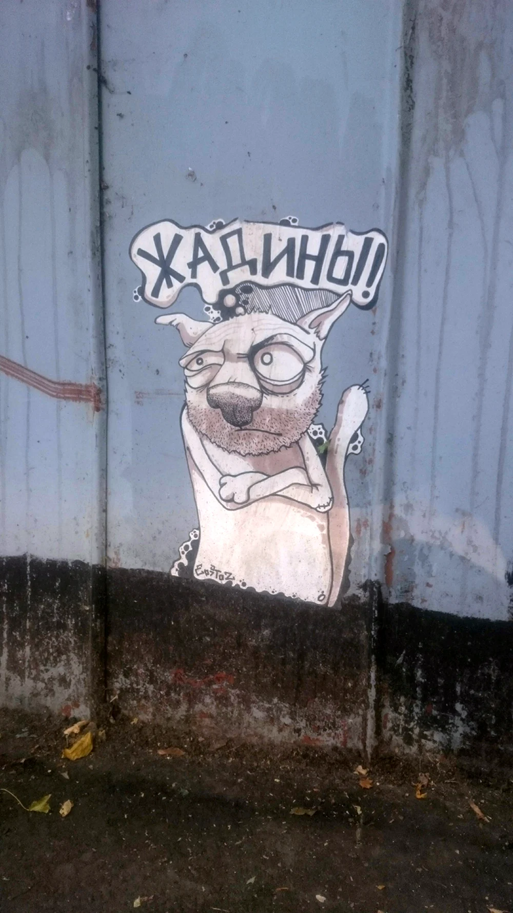 Жадины граффити кот