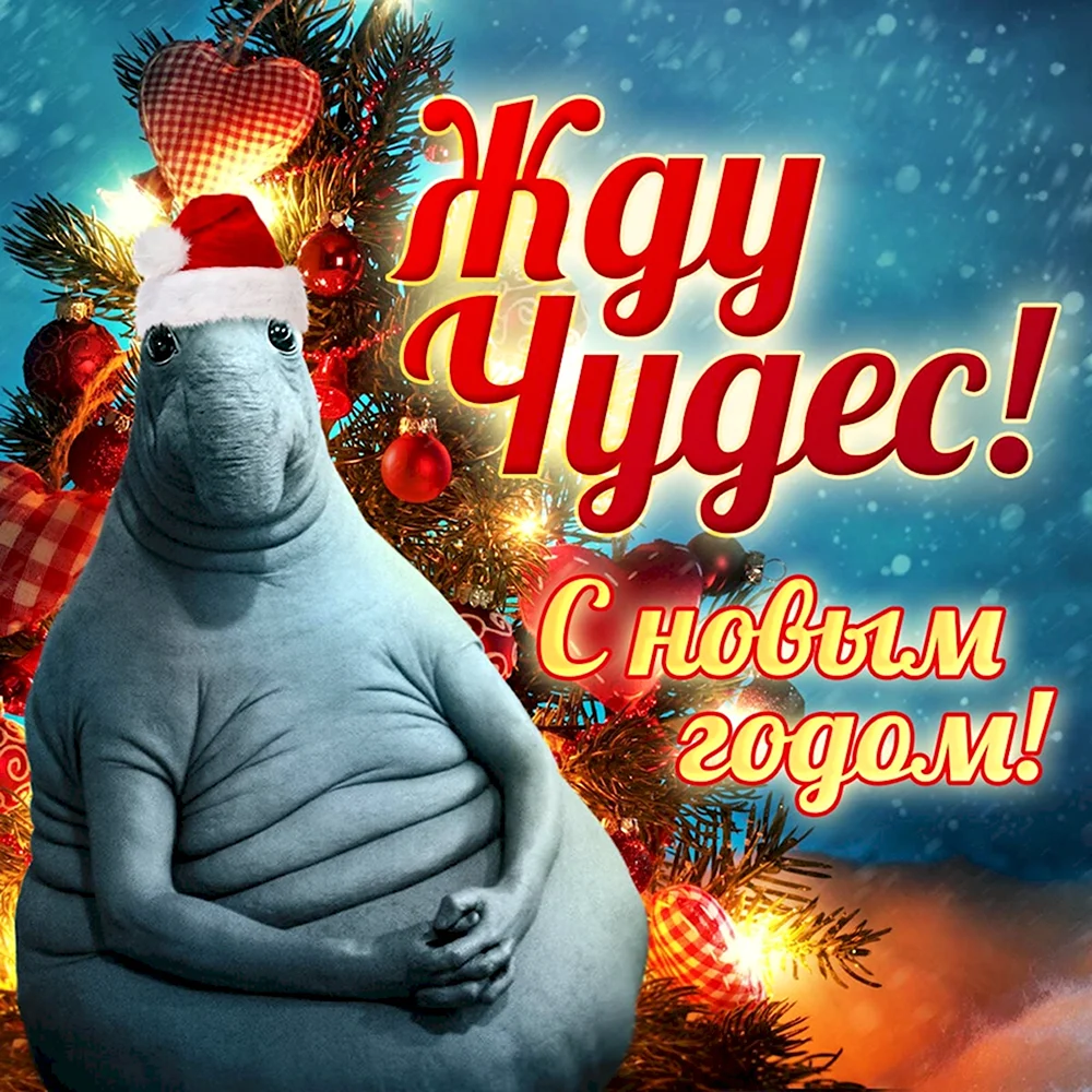 Ждун новогодний