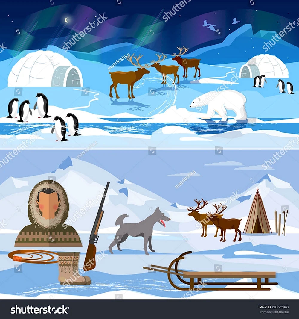 Жители Северного полюса для детей