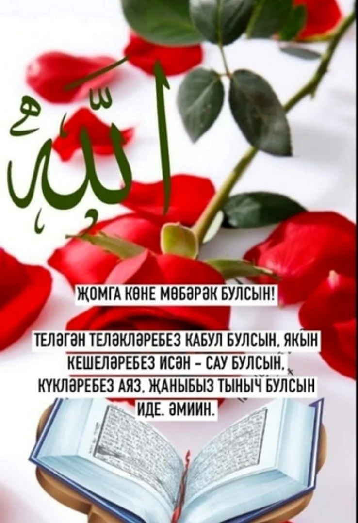 Жомга кон
