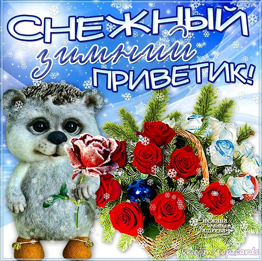 Зимний приветик