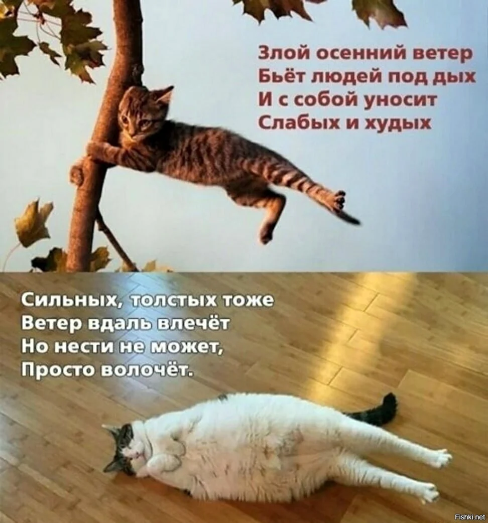 Злой осенний ветер бьёт людей