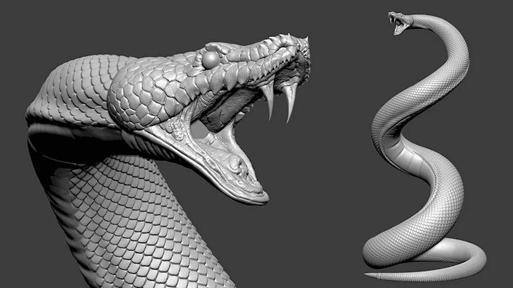 Змея Zbrush