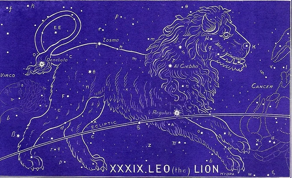 Зодиакальные созвездия Лев схема