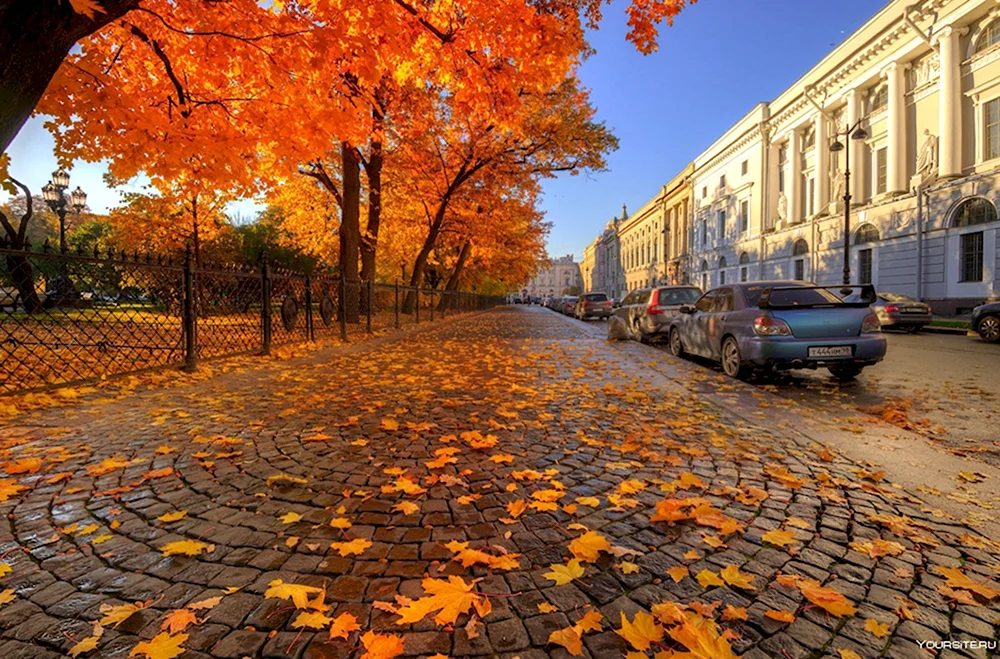 Золотая осень в СПБ Петроградка