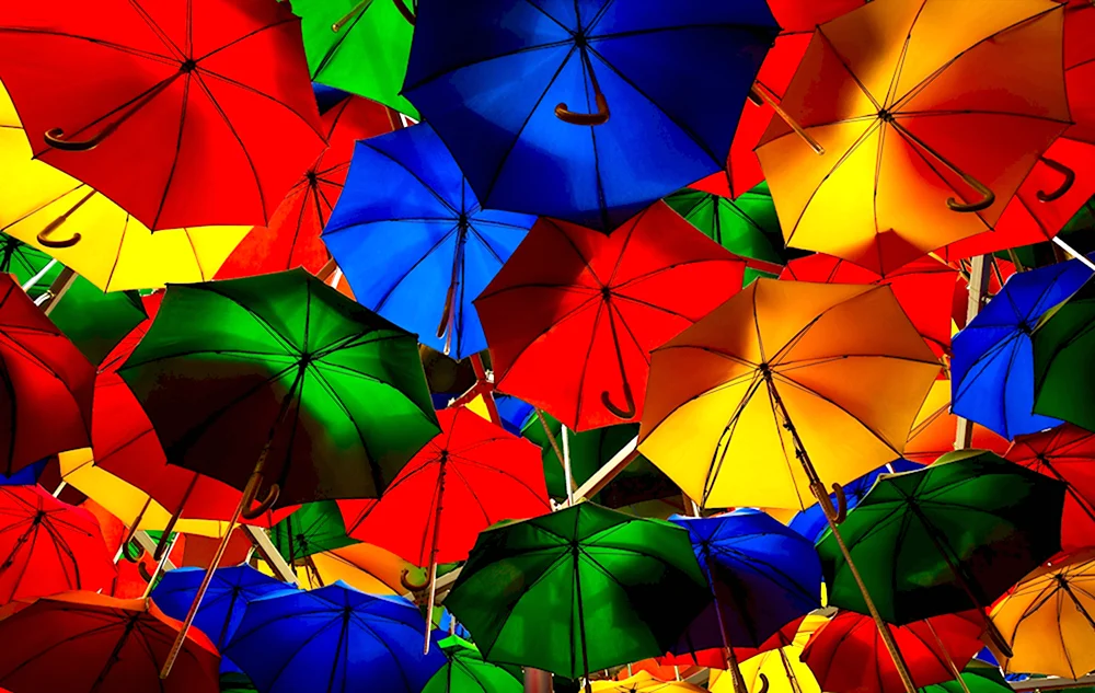 Зонтики яркие
