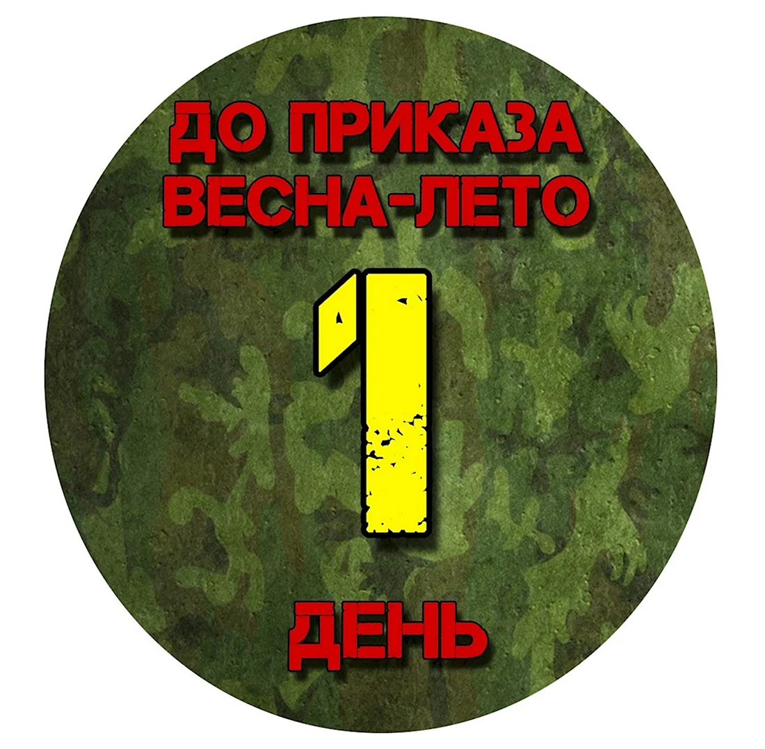 1 День до дембеля