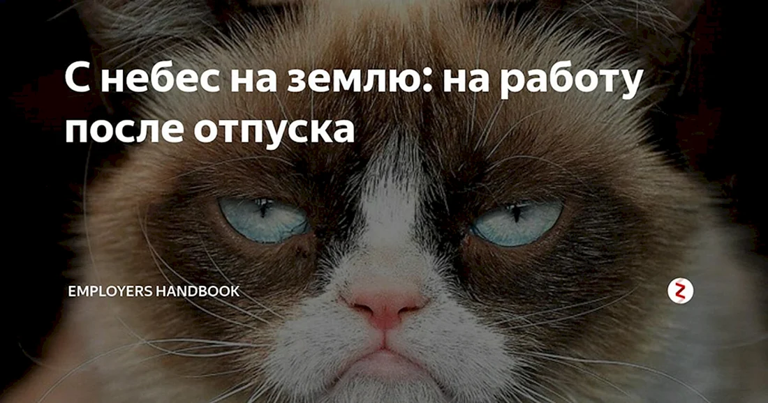 1 День на работе после отпуска