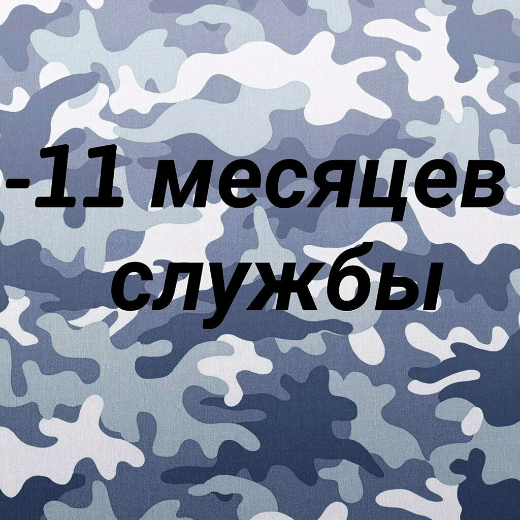 Четыре месяца службы. 1 Месяц службы. 11 Месяцев отслужили. 11 Месяцев службы. Открытка 11 месяцев службы позади.