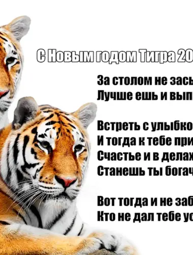 2022 Год год тигра