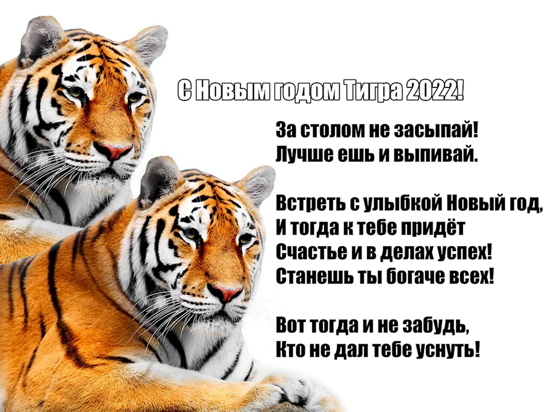 2022 Год год тигра