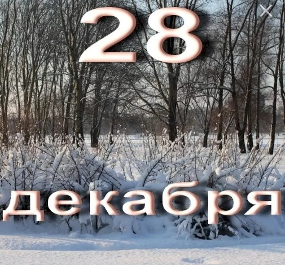 28 Декабря