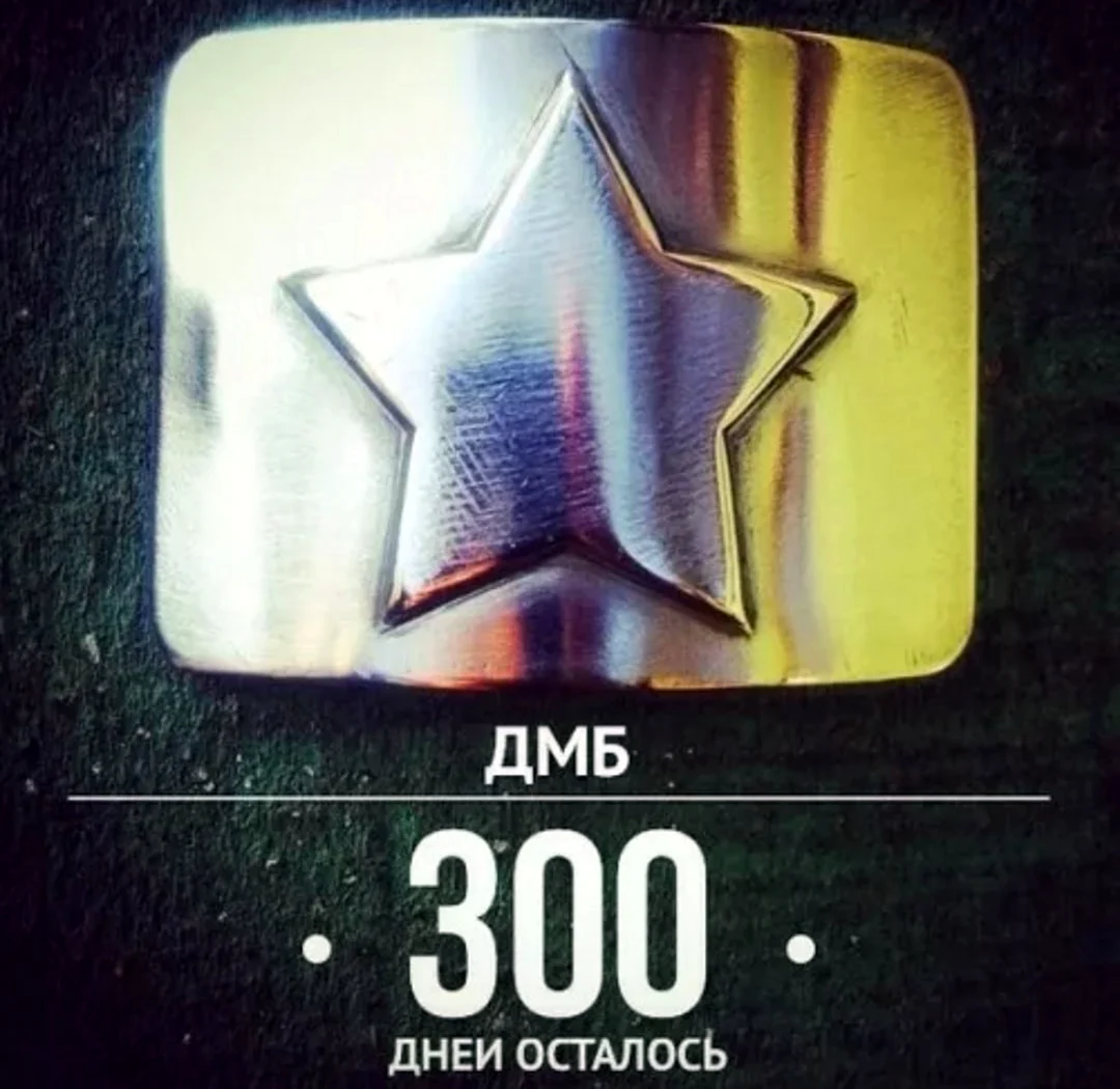 300 Дней до дембеля