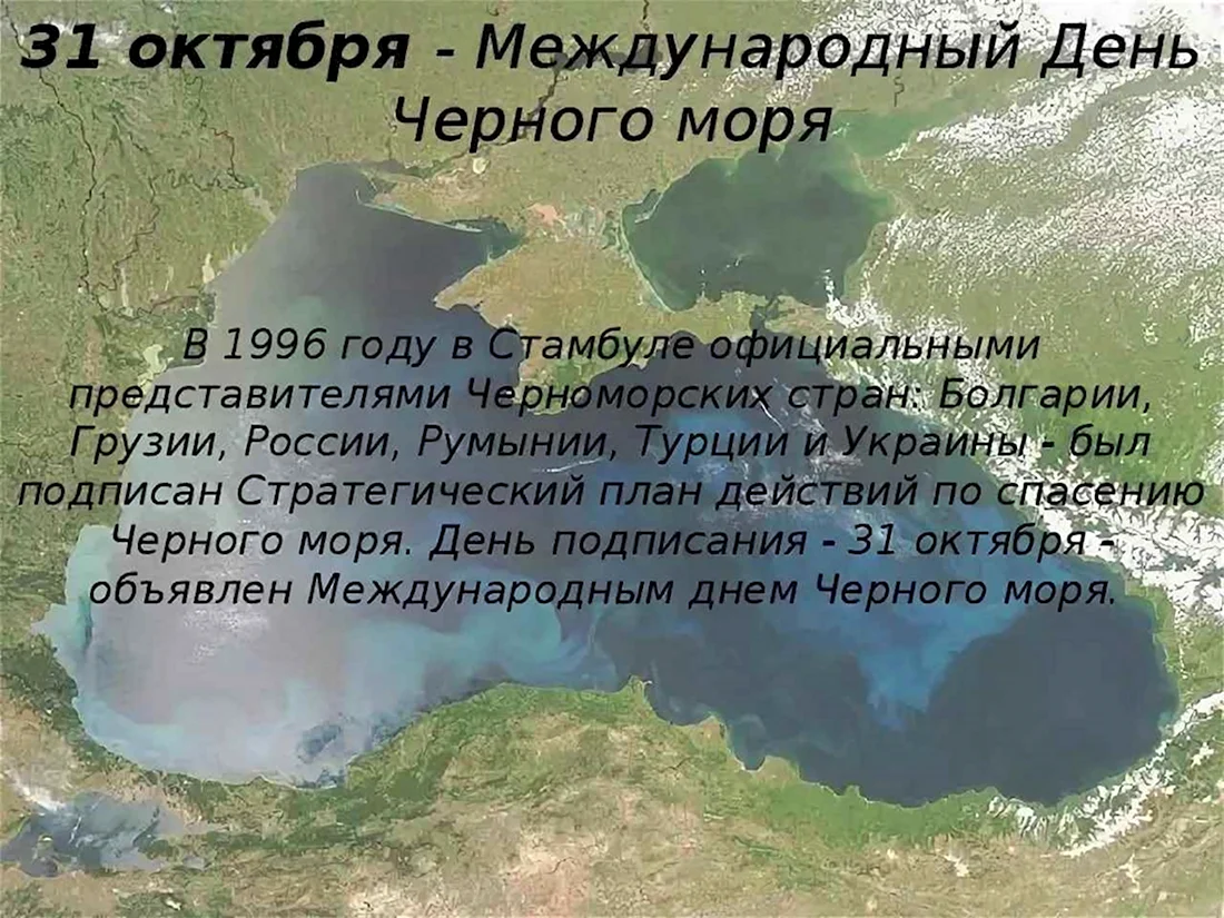 День черного моря. Всемирный день черного моря. 31 Октября день черного моря. Черного моря 31 октября день черного.