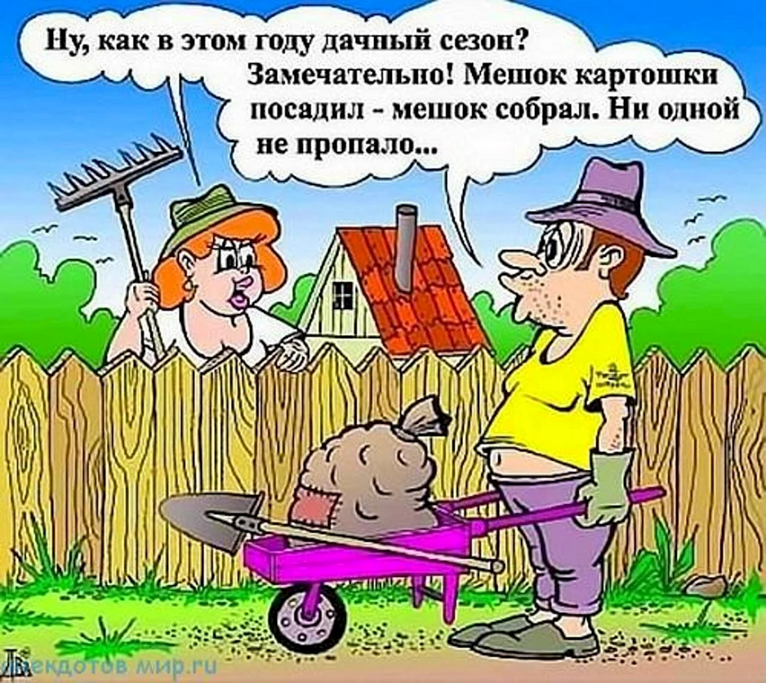 Анекдот про картошку