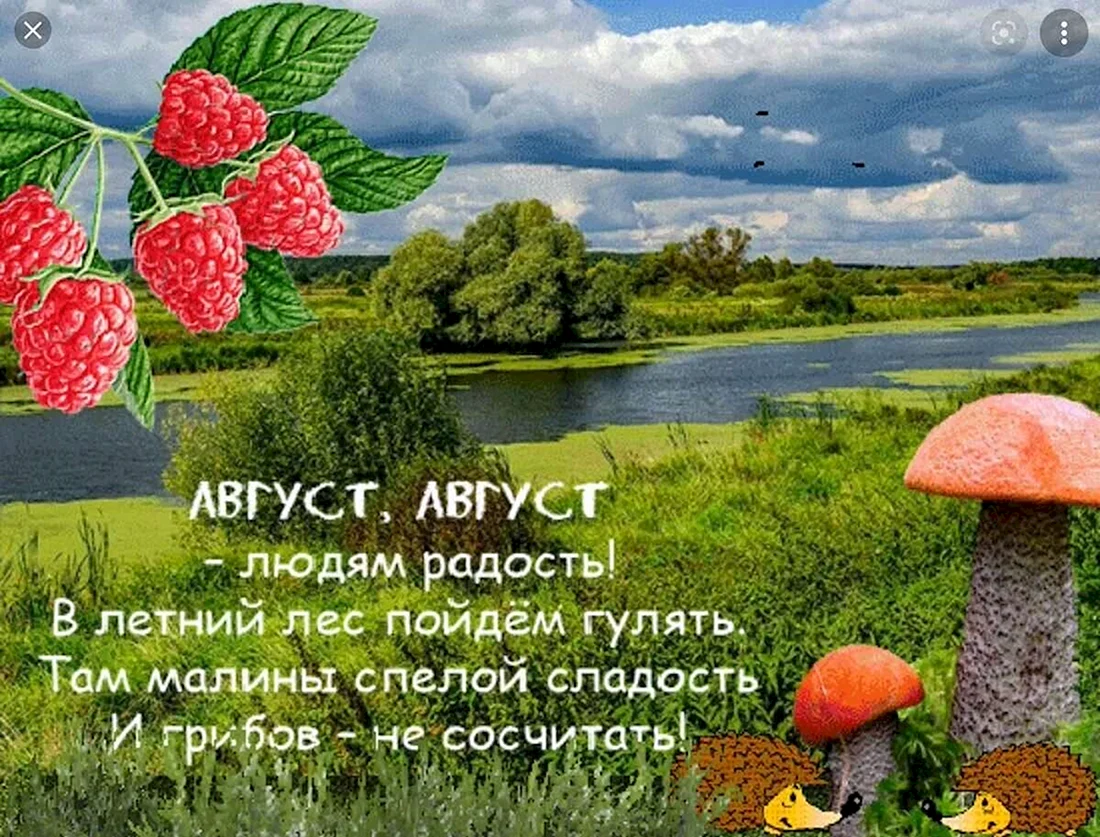 Август открытки