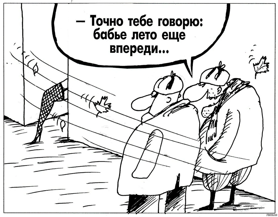 Бабье лето карикатура