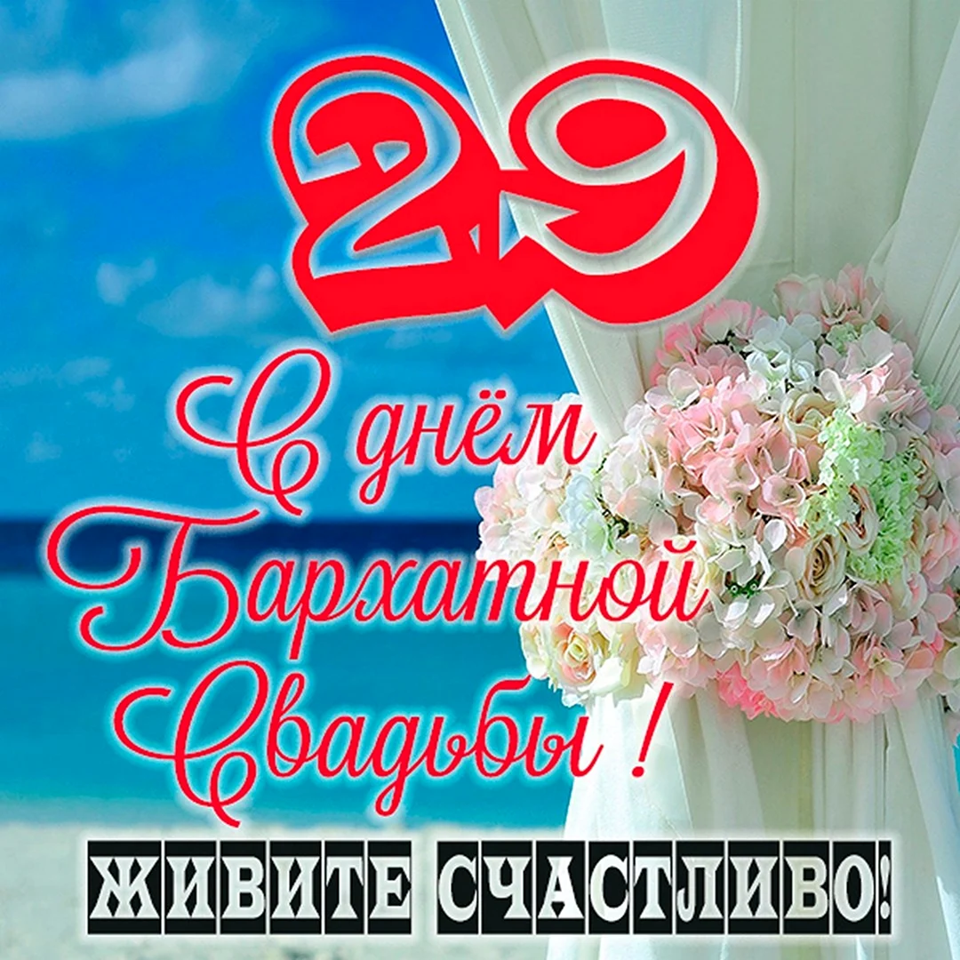 Поздравление с годовщиной свадьбы 29 лет. Бархатная свадьба поздравления. Поздравляю с бархатной свадьбой. Бархатная свадьба открытки. 29 Свадьба поздравления.