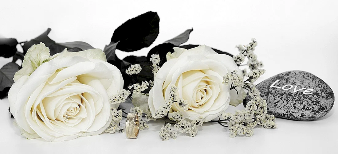Белые розы на свадьбу