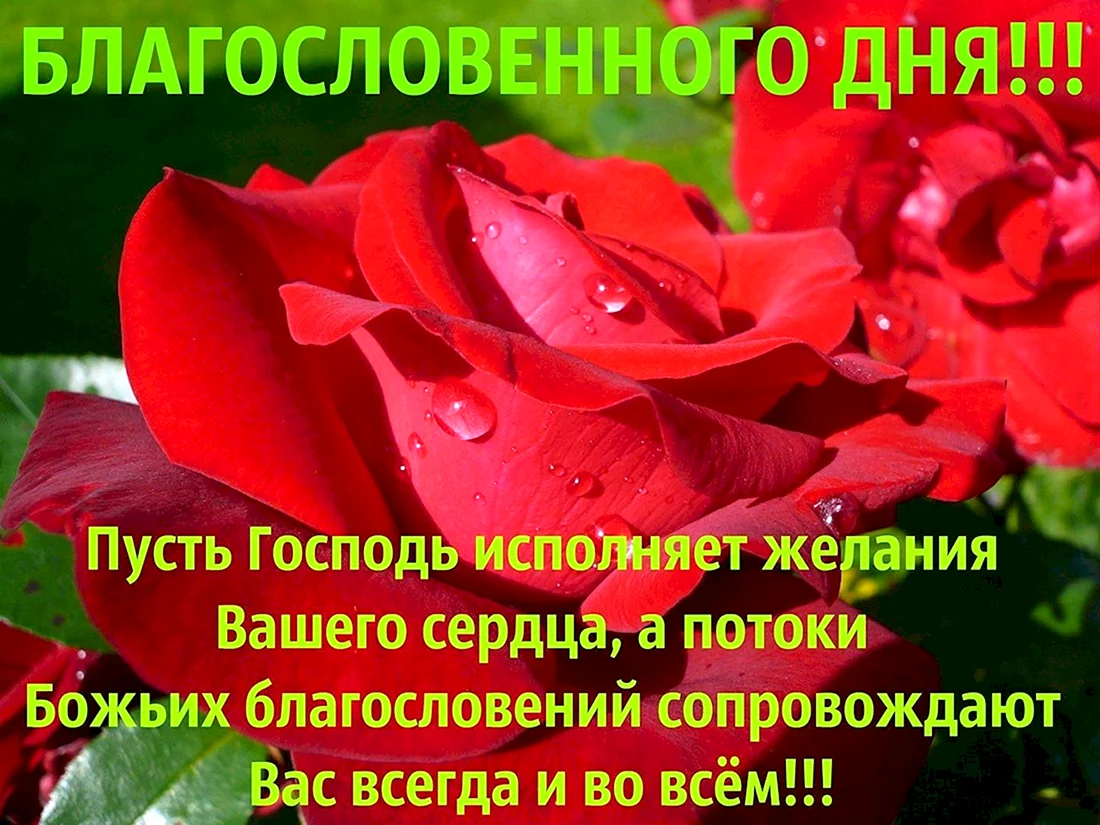 Благословенного дня