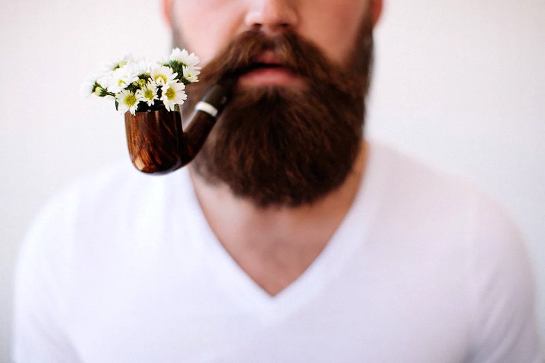 Бородатый мужик с цветами