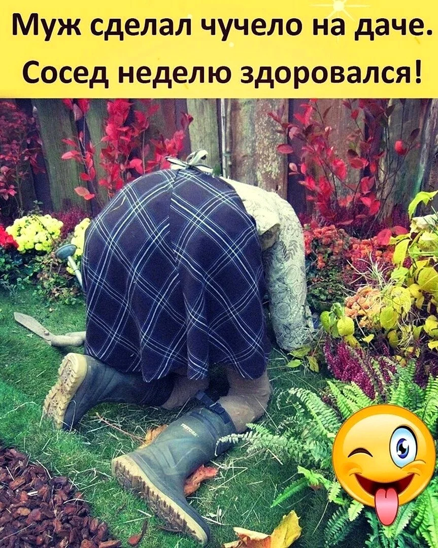 Чучело на дачу