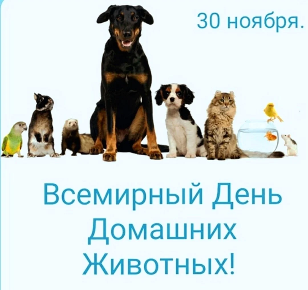 День домашних животных