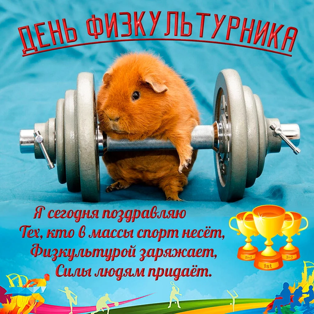 День физкультурника