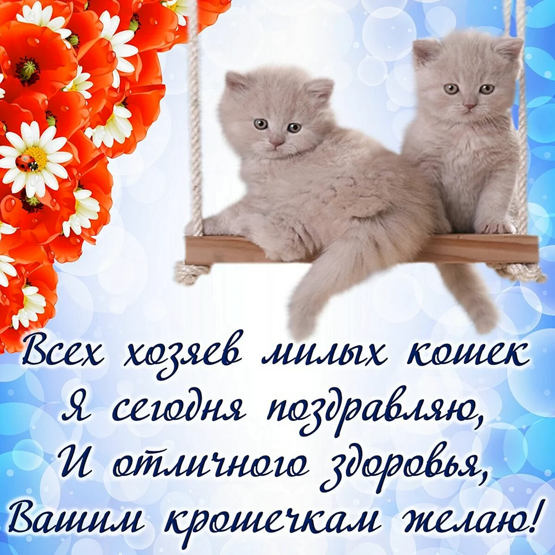 День кошек