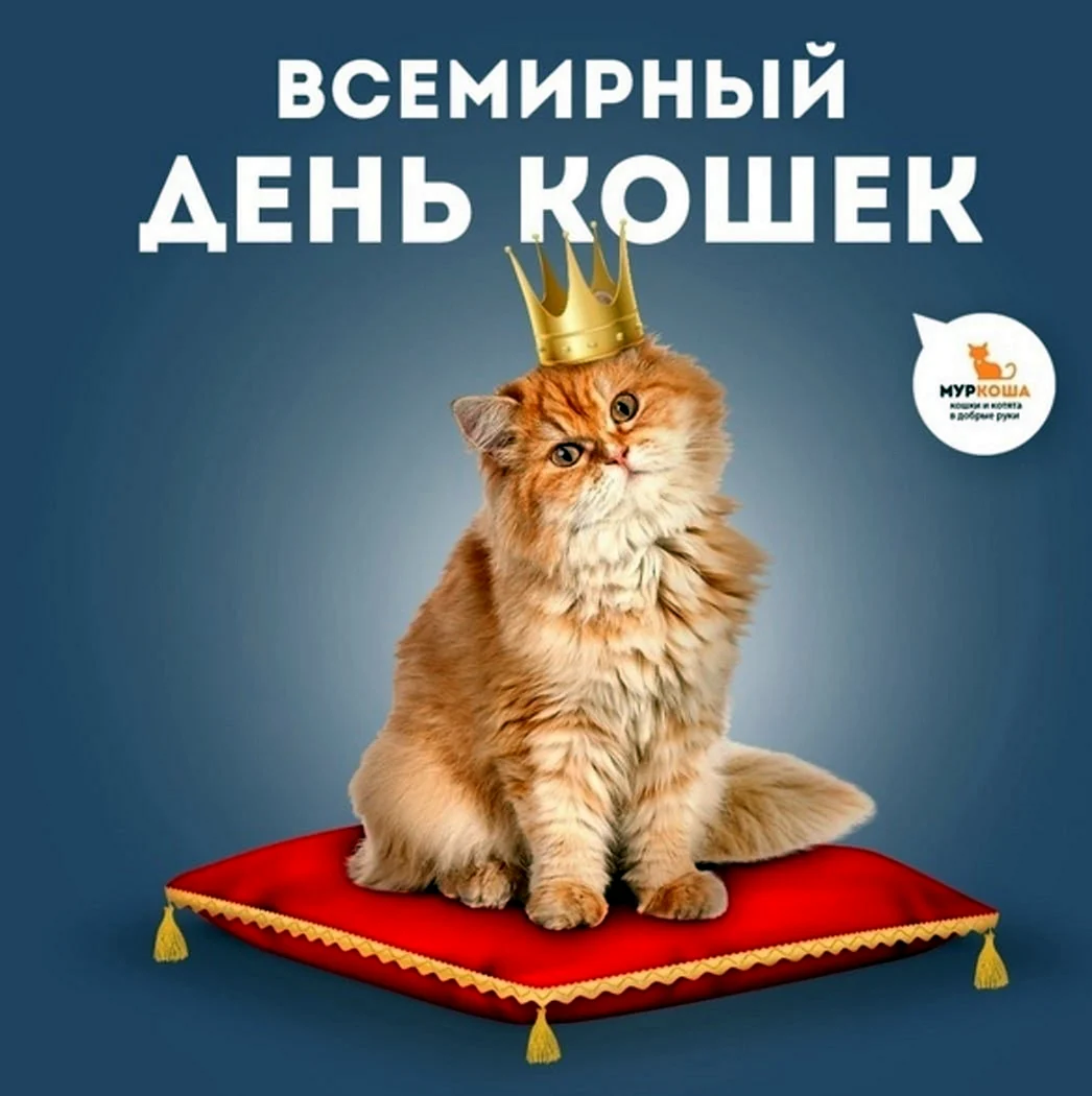 День кошек