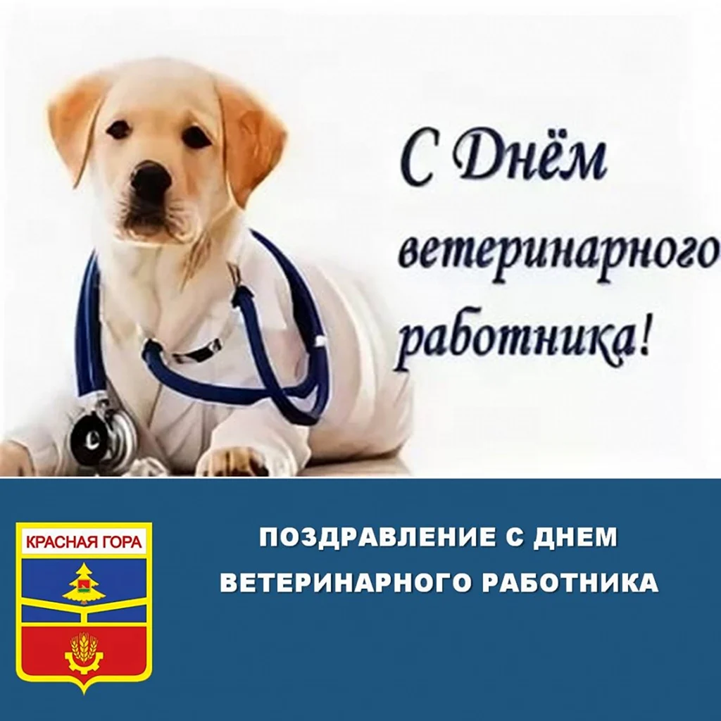 День работника ветеринарной службы