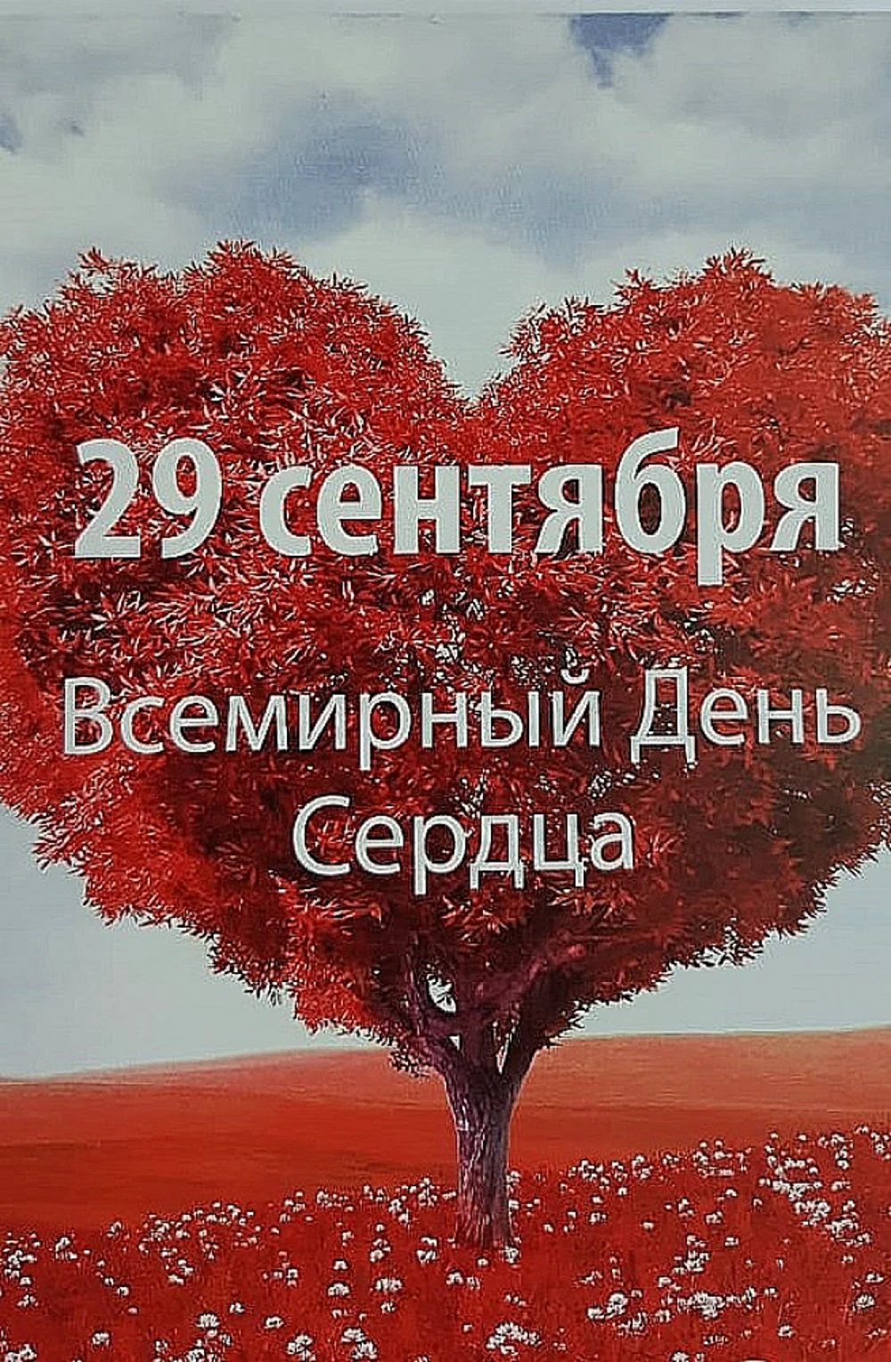 День сердца