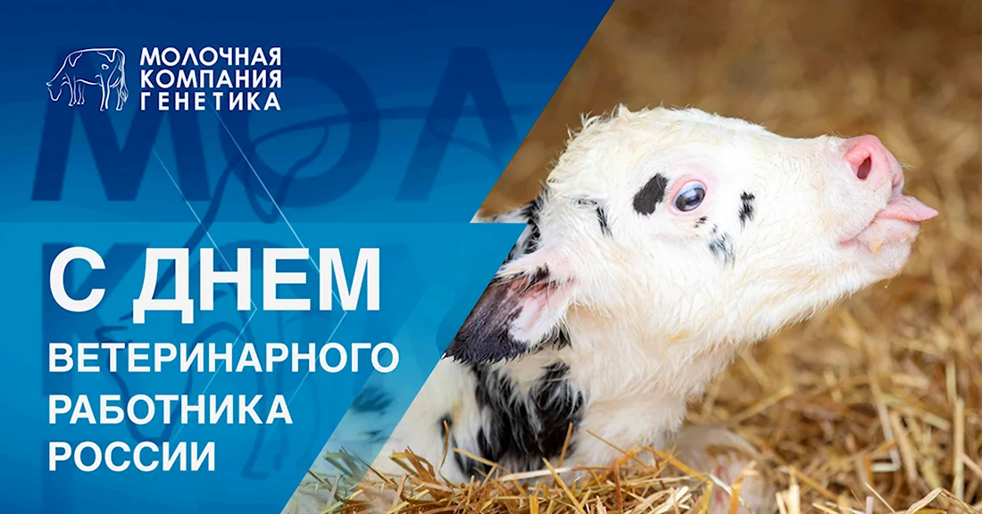 День ветеринарного работника 2022 в России