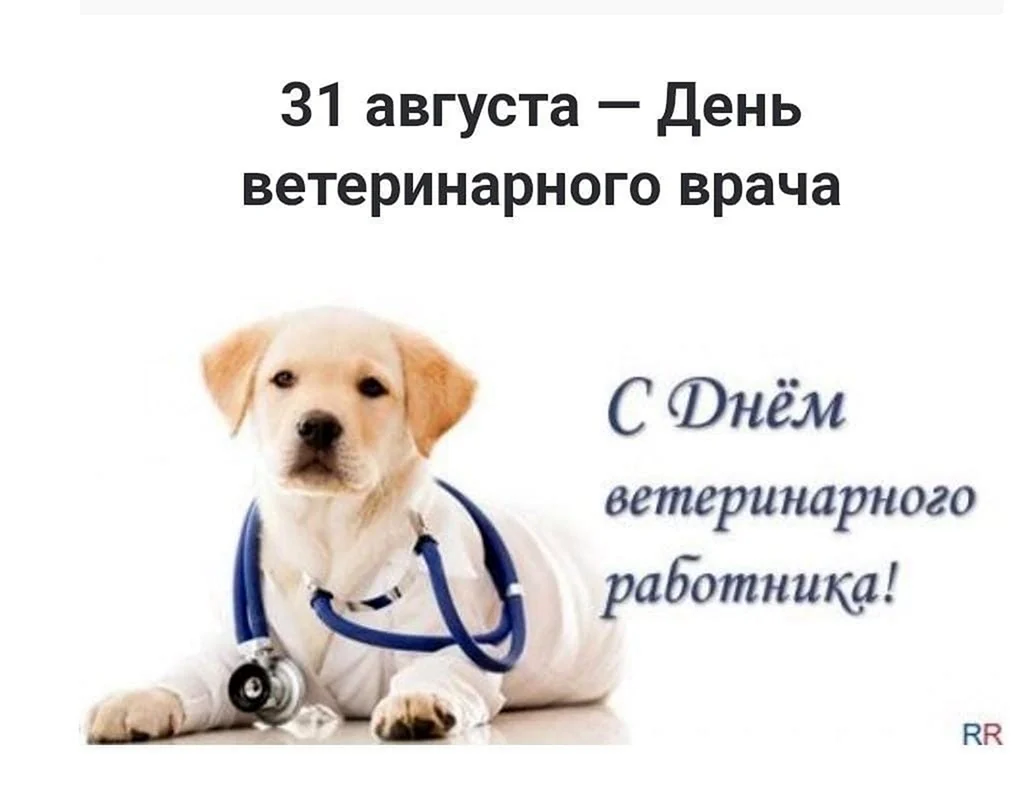 День ветеринарного работника Севастополь