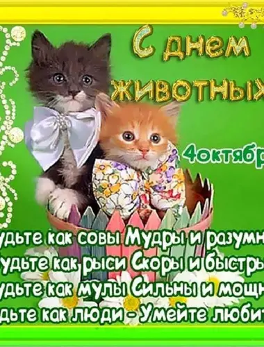 День защиты животных