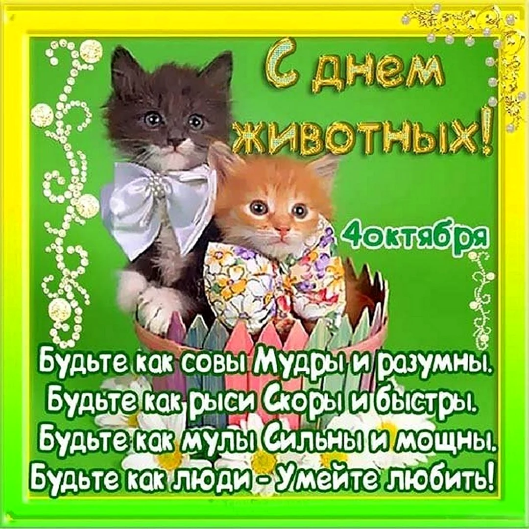 День защиты животных