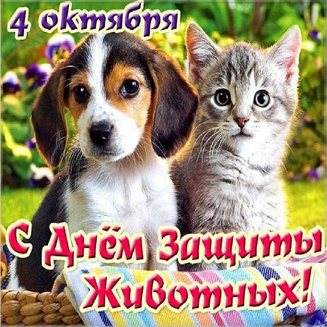 День защиты животных в России