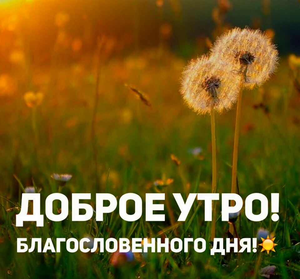 Доброе утро благословенного дня